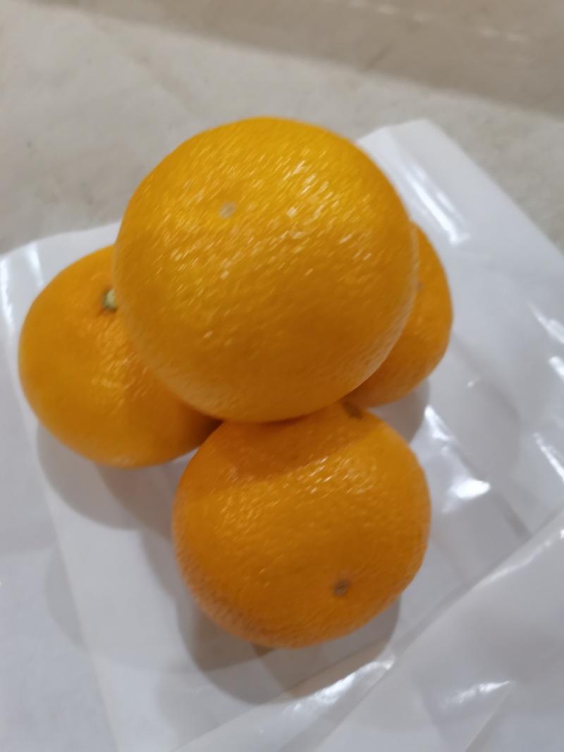 黄金柑，青香味甜，无酸味。70起步