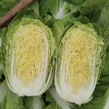 黄心白菜，青麻叶产地直供，甜脆可口，**特惠！