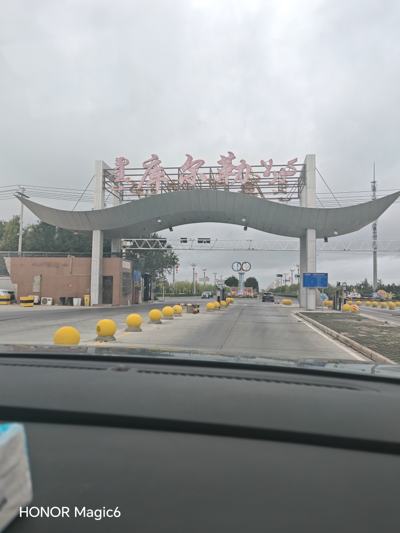 新疆库尔勒香梨母梨