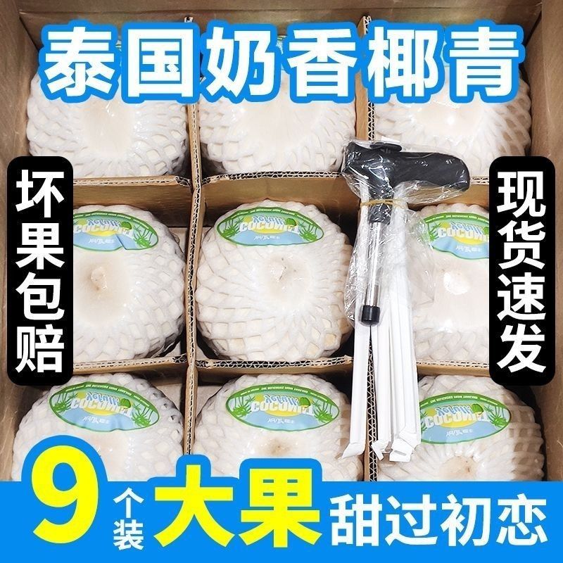 【9个超大果1200g+】泰国进口椰青奶香水原箱装巨无霸