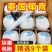 【9个超大果1200g+】泰国进口椰青奶香水原箱装巨无霸