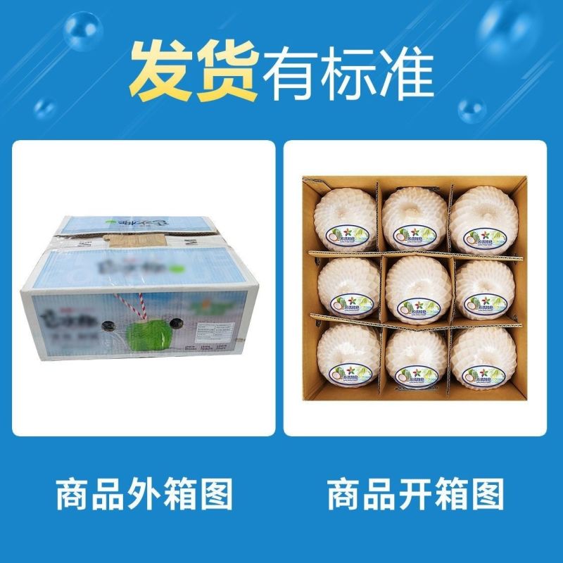 【9个超大果1200g+】泰国进口椰青奶香水原箱装巨无霸