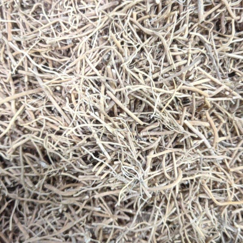 白薇辽白薇产地直销量大从优质量保证欢迎咨询
