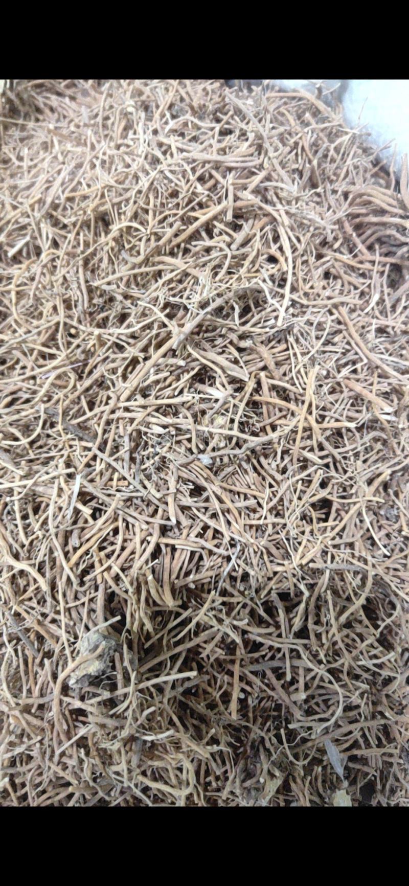 白薇辽白薇产地直销量大从优质量保证欢迎咨询