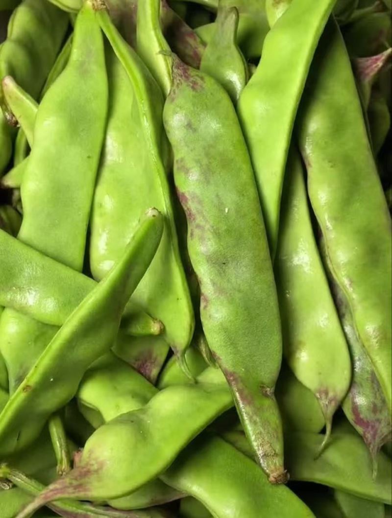油豆云南油豆角九月青一点红大量供应，基地直发