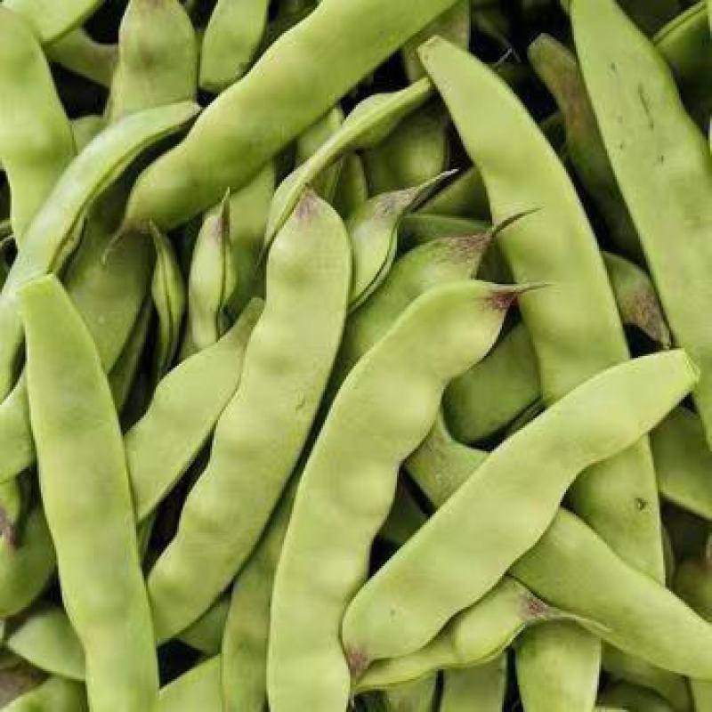 油豆角云南油豆一点红九月青大量上市，基地直发欢迎订购
