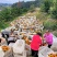 现货脐橙百亩基地货源充足，支持批发一件代发