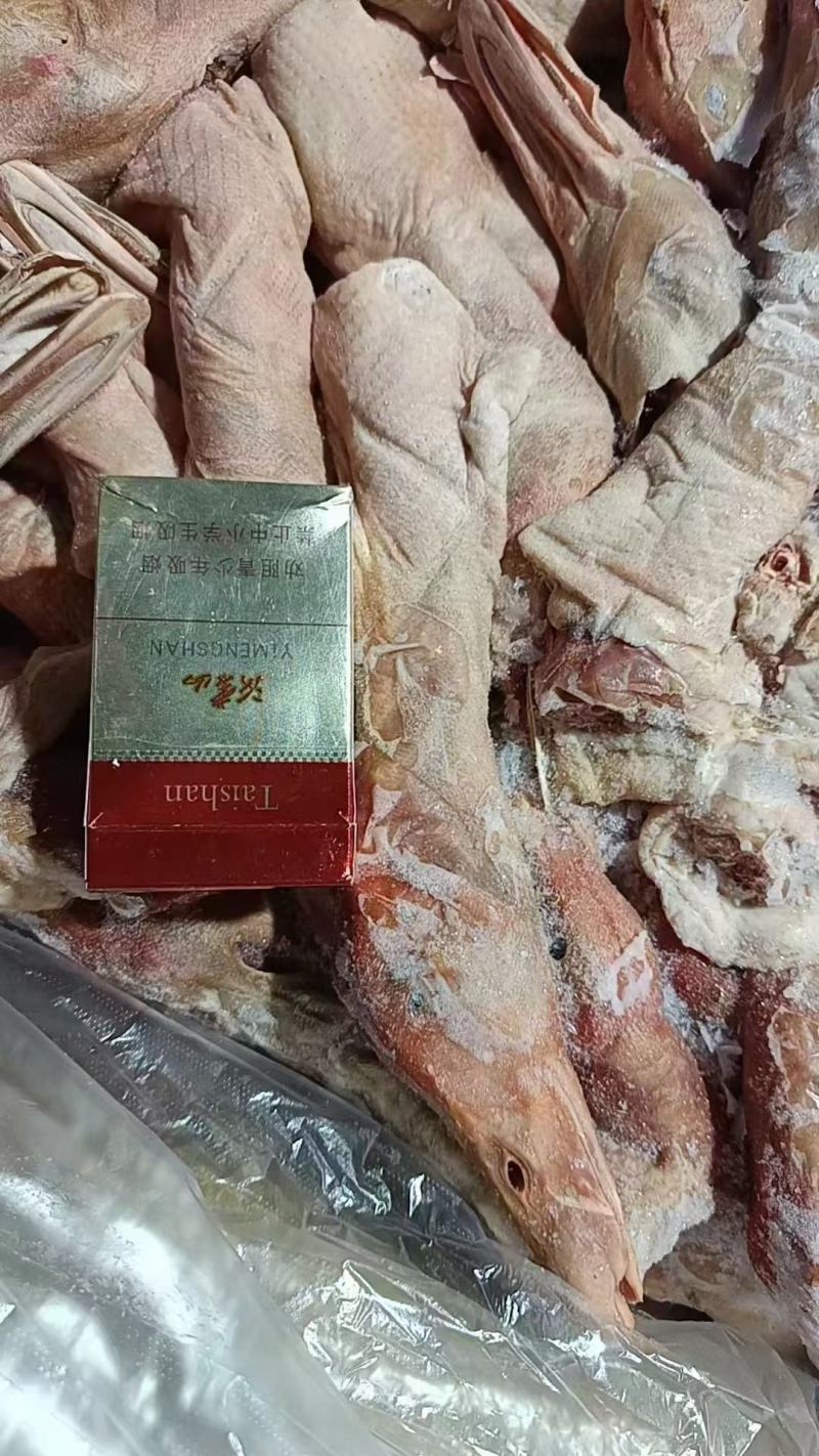 出售：长脖子鸭头