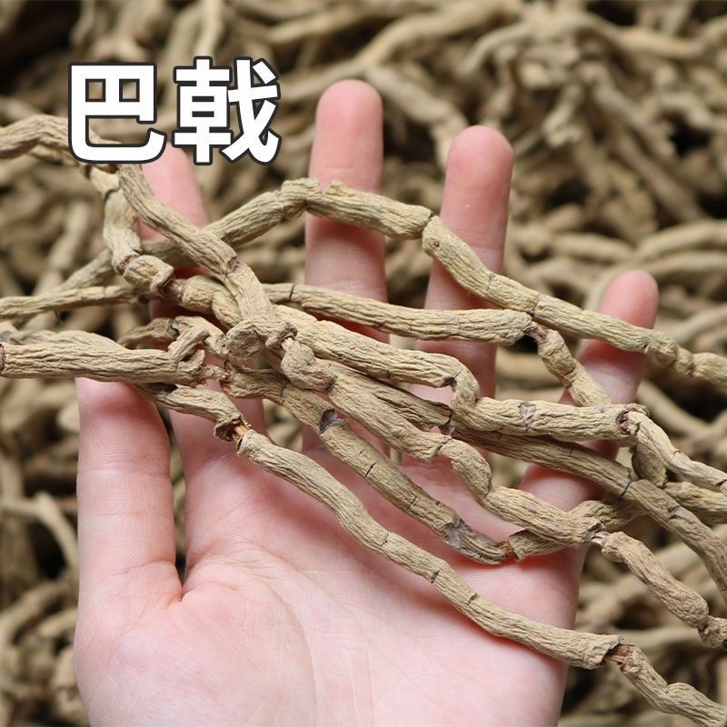 德庆巴戟天天中药材干货带芯巴戟天鸡肠凤无硫生晒圆条巴戟天
