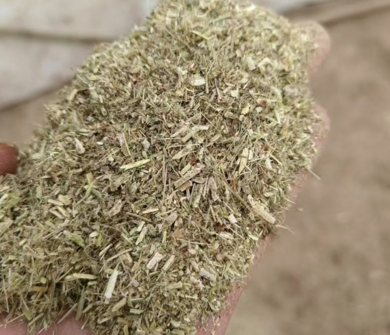 花生秧叶粉无土无膜无霉保质保量欢迎一亩田联系我