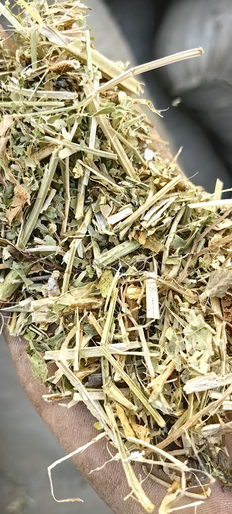 花生秧叶粉无土无膜无霉保质保量欢迎一亩田联系我