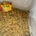 淡干瑶柱干贝500克包邮24小时发货