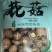 200克春栽花菇产地直供细心挑选肉厚形状饱满
