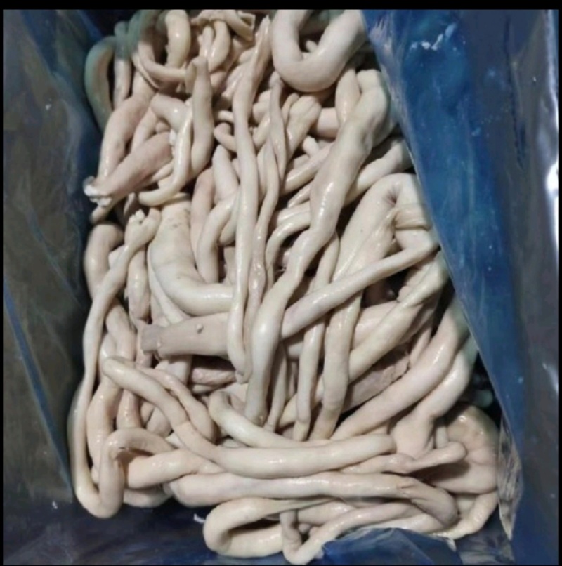 羊肠熟羊肠源头工厂直发一件也是批发价全国发货