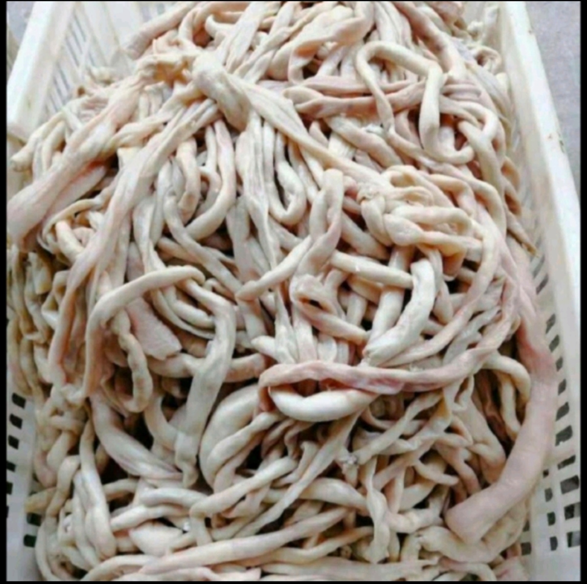 煎制后的黑胡椒肉肠成品 肉肠煎制成品图