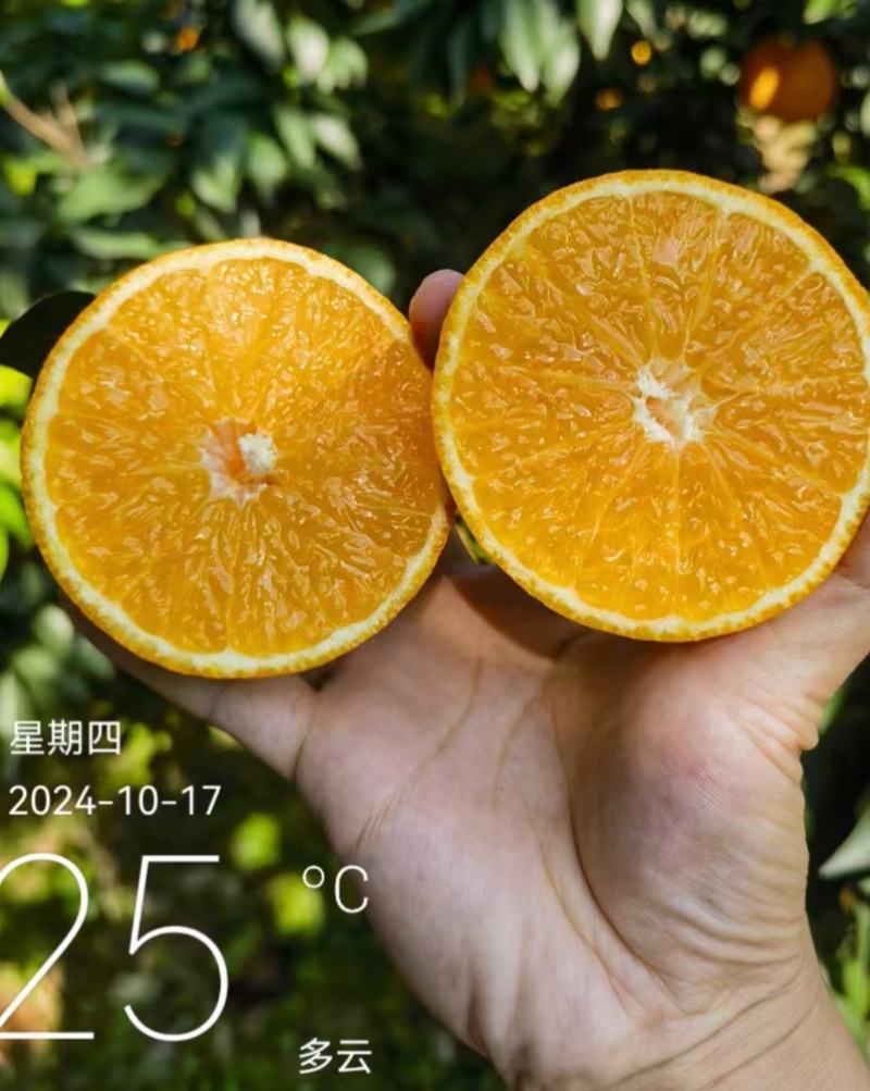 四川爱媛38果冻橙，皮薄汁多味甜，产地直发一手货源