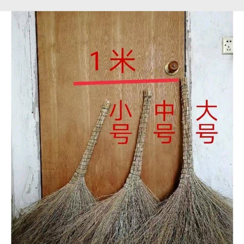 扫帚铁树扫把量大质优价格优惠可以视频看货一手货源