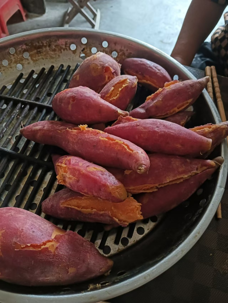 【推荐】山东西瓜红红薯供应市场商超电商量大价优