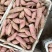 【红薯】精品烟薯25基地直供一手货源量大价优
