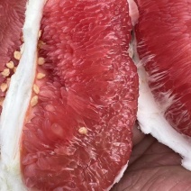 红心柚光果