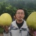 红心柚光果