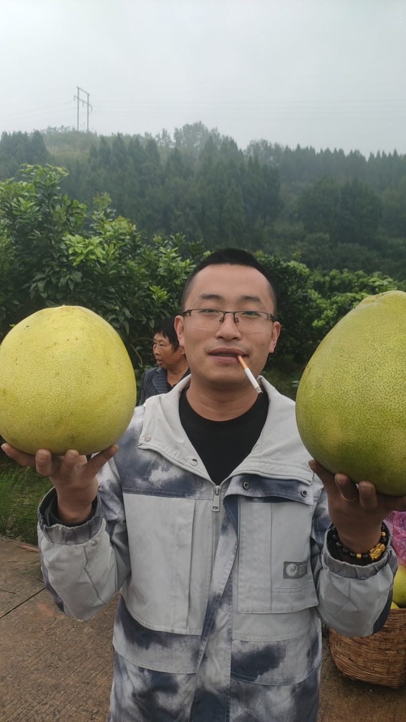 红心柚光果