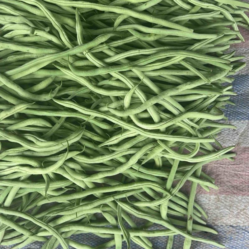 精品无丝豆已大量有货，电商供货，基地直发。