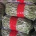 精品无丝豆已大量有货，电商供货，基地直发。