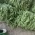 精品无丝豆已大量有货，电商供货，基地直发。