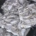 高品质化冰鲜鲳鱼
