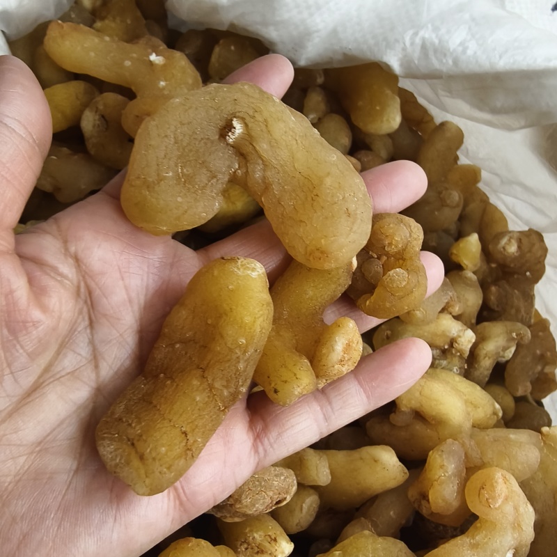 黄精片云南黄精片黄精个子常年大货批发量大从优
