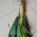 新鲜河北大葱，当地产地直供，品质保证