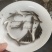 优质赤眼鳟鱼苗，红眼鳟鱼苗，鱼生首先鱼，刺身鱼