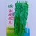 西域蛟龙螺丝椒种子早熟皮薄肉厚高产辣椒种子辣味浓香螺丝椒