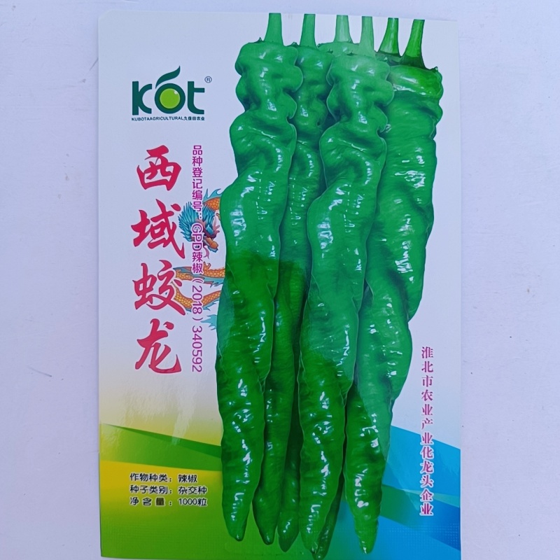 西域蛟龙螺丝椒种子早熟皮薄肉厚高产辣椒种子辣味浓香螺丝椒