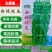 西域蛟龙螺丝椒种子早熟皮薄肉厚高产辣椒种子辣味浓香螺丝椒