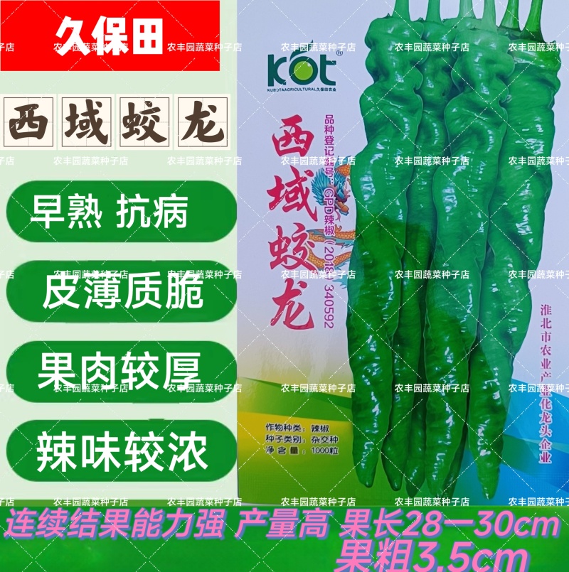 西域蛟龙螺丝椒种子早熟皮薄肉厚高产辣椒种子辣味浓香螺丝椒