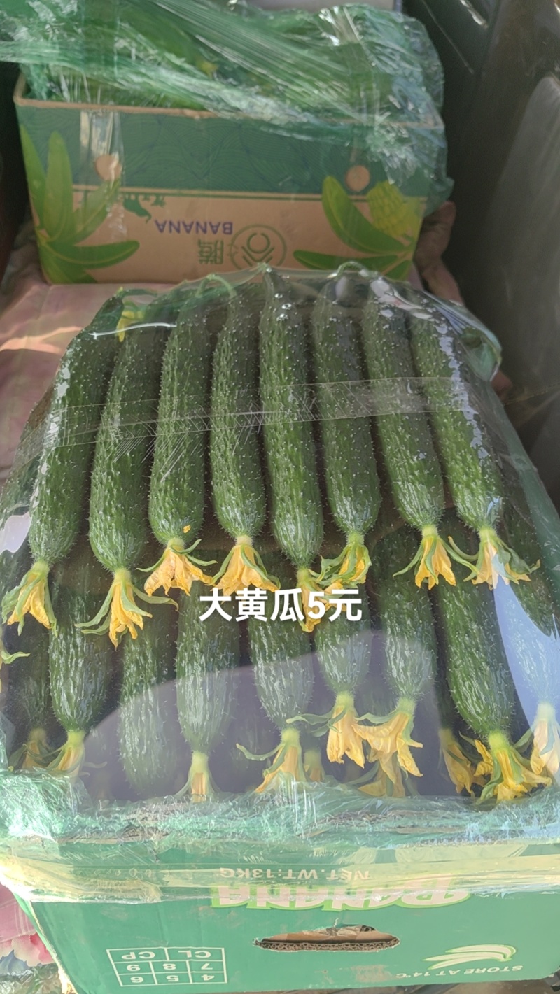 精选黄瓜旱黄瓜口感好价格实惠保质保量欢迎选购
