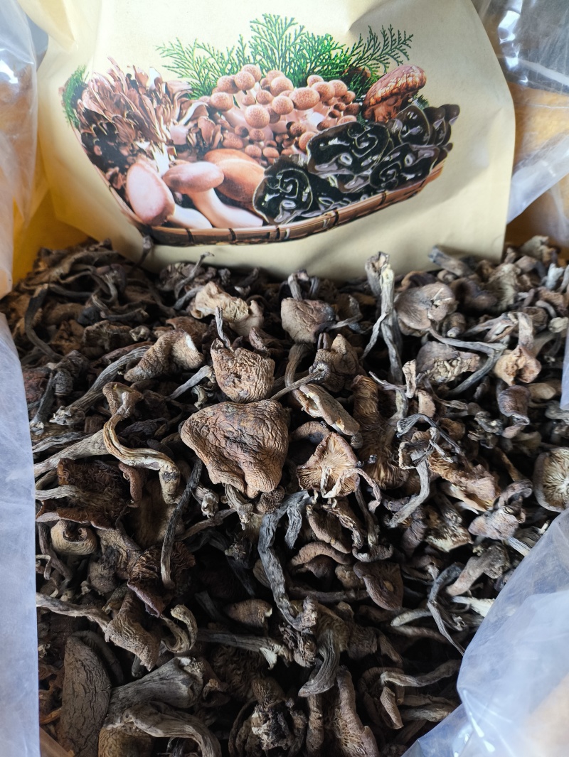 榛蘑批发榛蘑丁榛蘑片供应各个平台实体店好吃不贵
