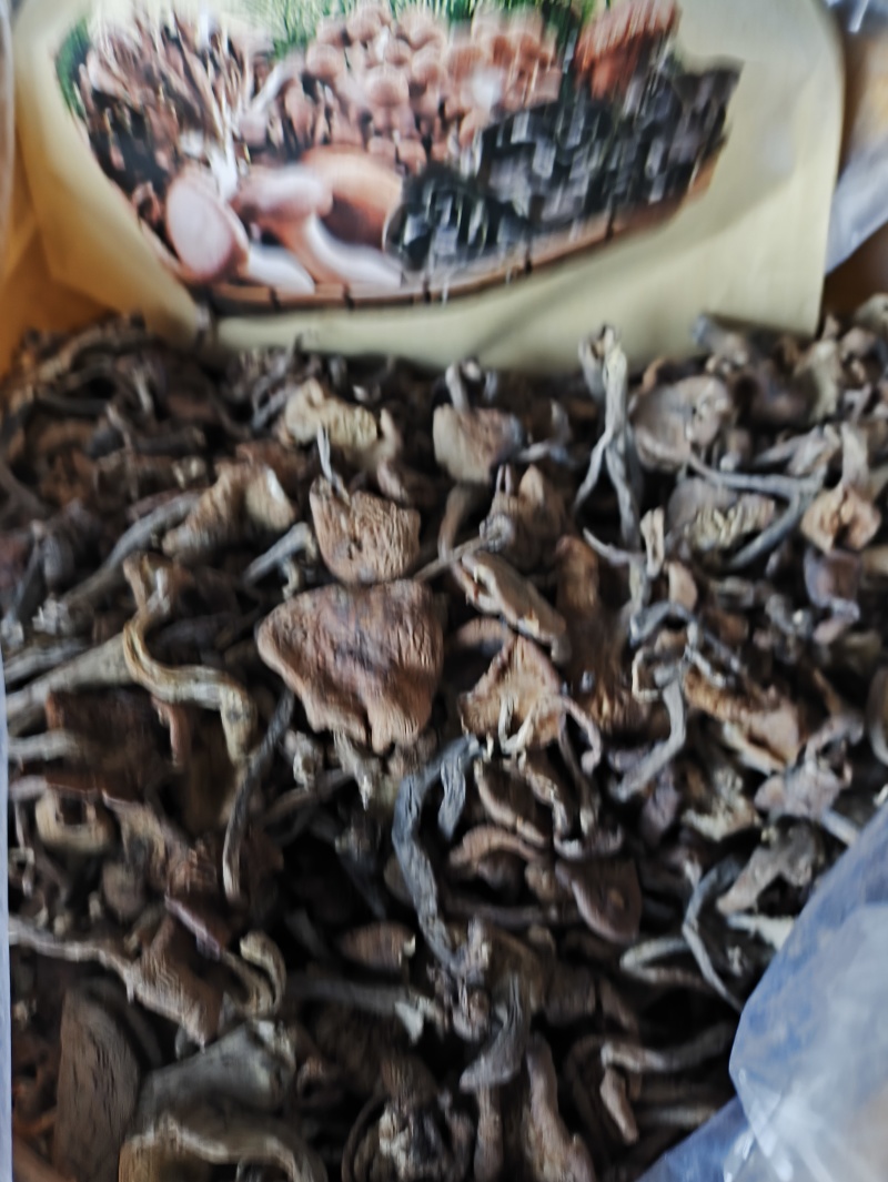 榛蘑批发榛蘑丁榛蘑片供应各个平台实体店好吃不贵