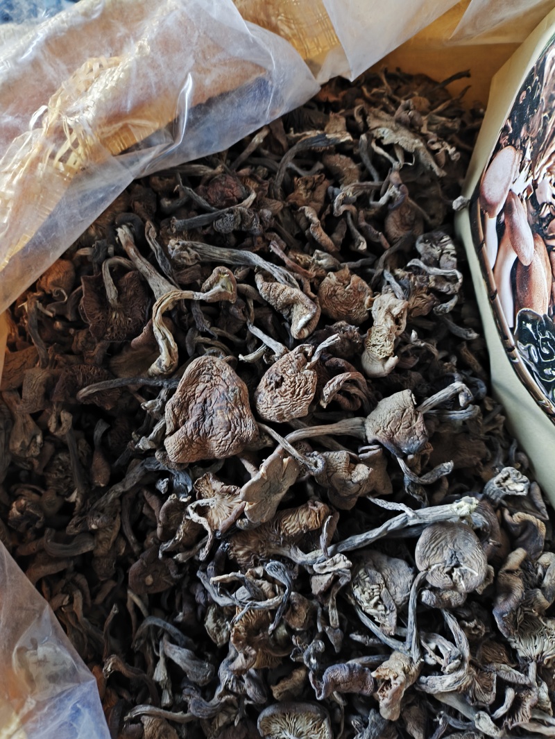 榛蘑批发榛蘑丁榛蘑片供应各个平台实体店好吃不贵