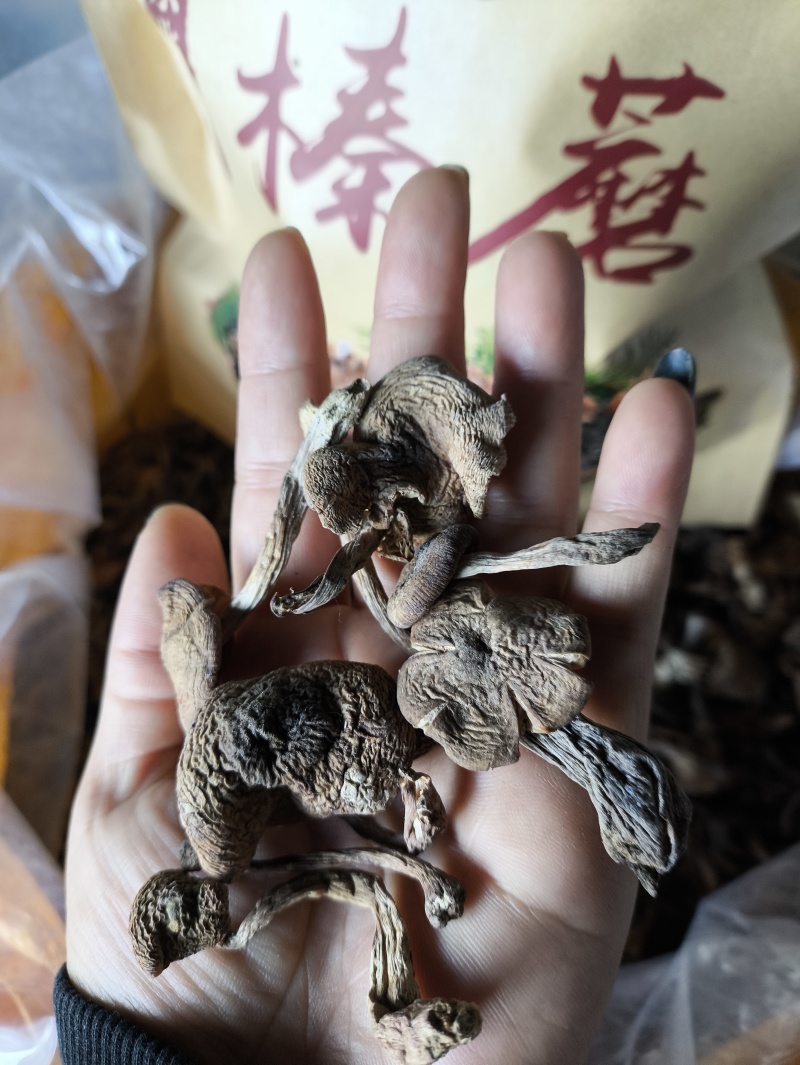 榛蘑批发榛蘑丁榛蘑片供应各个平台实体店好吃不贵