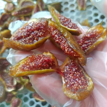 青皮无花果干，烘干果条