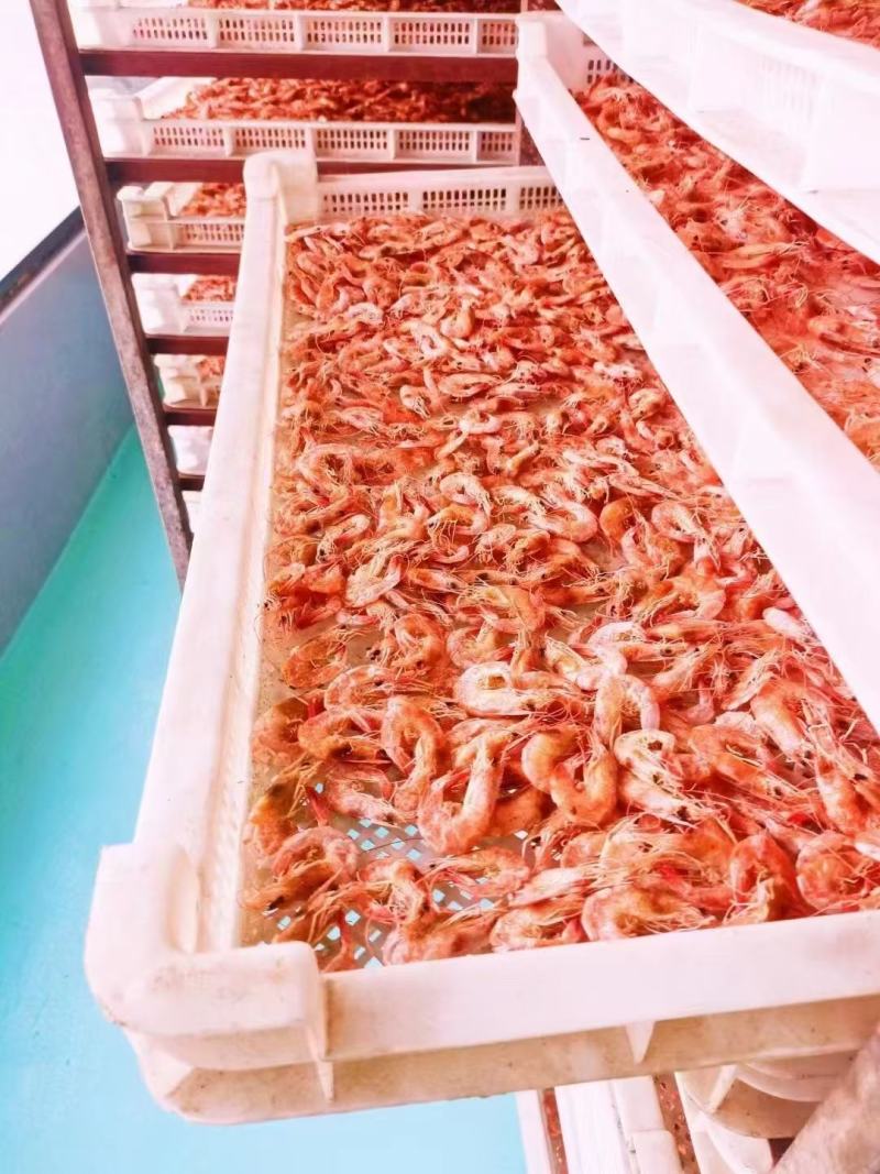 淡干烤虾即食烤虾干对虾干淡干无盐干度很好