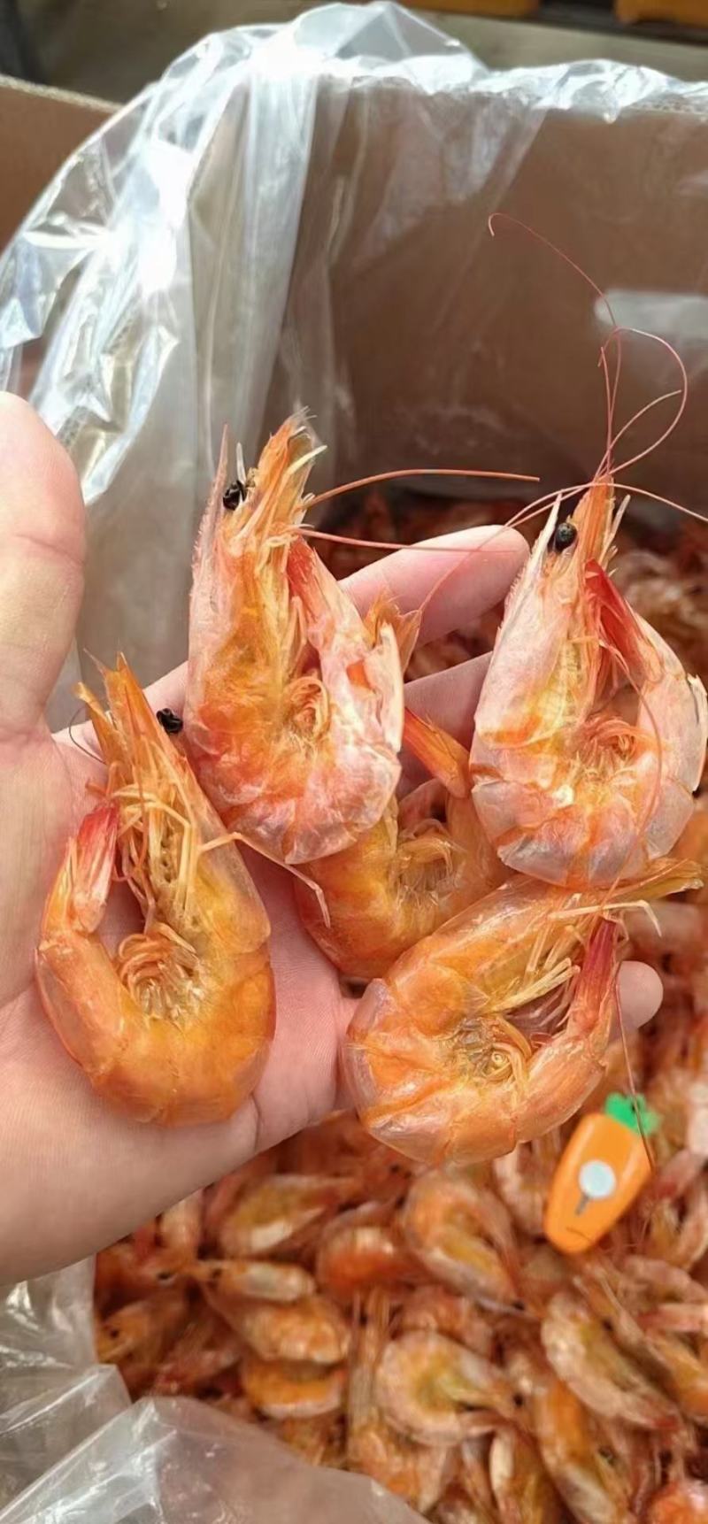 淡干烤虾即食烤虾干对虾干淡干无盐干度很好
