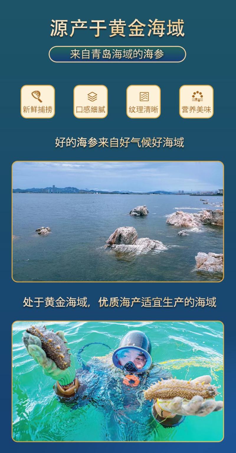 淡干海参干货礼盒，速发海参礼盒装，年货干海参批发礼品送礼