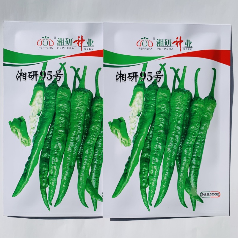 湘研95号辣椒种子长牛角椒种子耐热微辣高产香辣牛角软皮