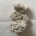 龙涎香，手里有很多，想要的报价，论斤称的别骚扰