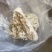 龙涎香，手里有很多，想要的报价，论斤称的别骚扰
