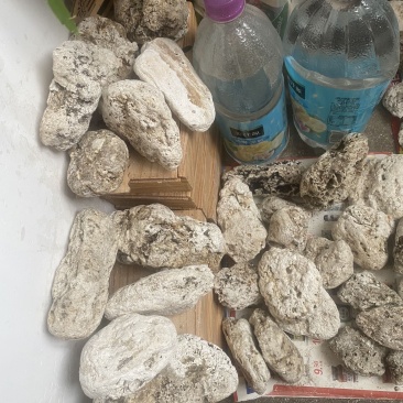 龙涎香，手里有很多，想要的报价，论斤称的别骚扰